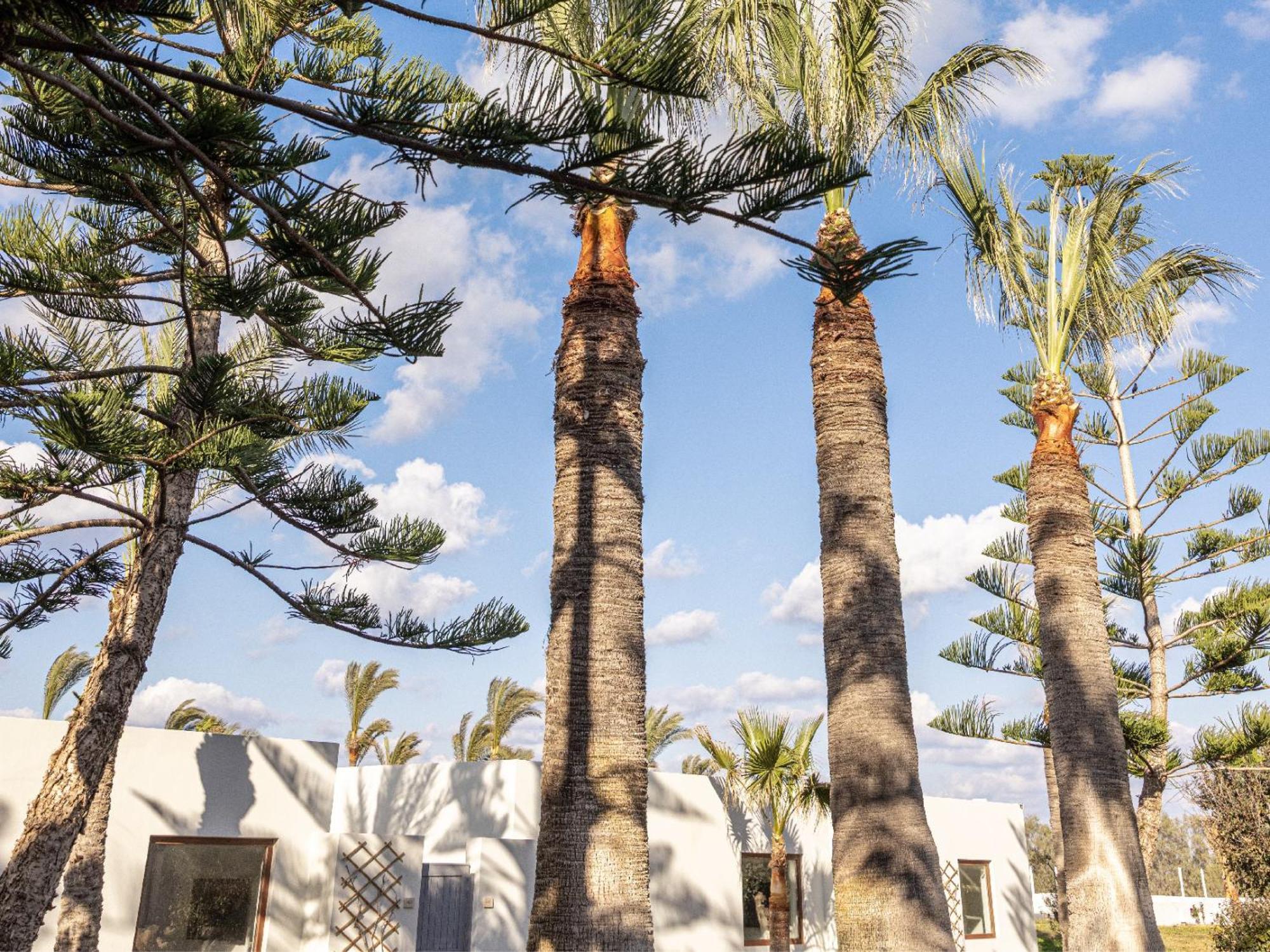 Amirandes, A Grecotel Resort To Live Gouves Exterior photo
